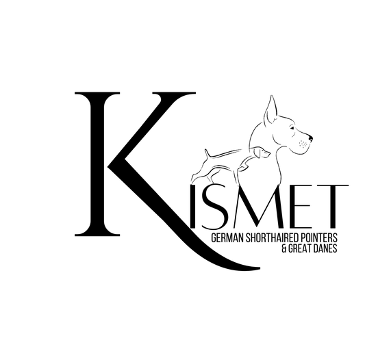 Brand Consulting and Logo Design